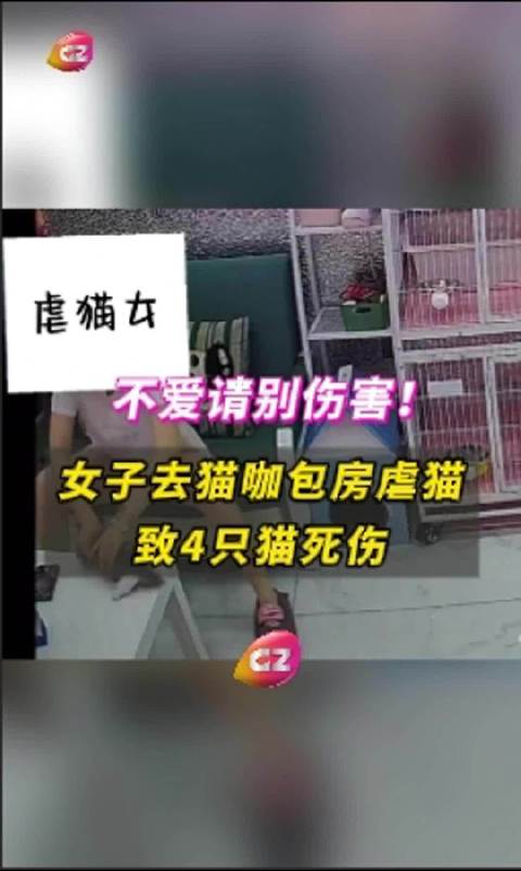游戏专题 第110页