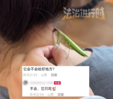 游戏专题 第73页