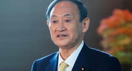 港澳新闻 第37页