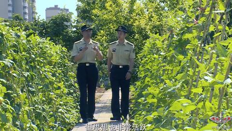台名嘴：解放军引领未来战争形态改变台名嘴揭秘，解放军引领未来战争形态的深刻变革